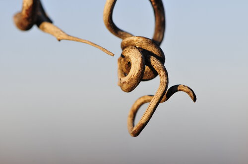 © CURV 0712 by Richard Martin, Photography for Sale on Singulart