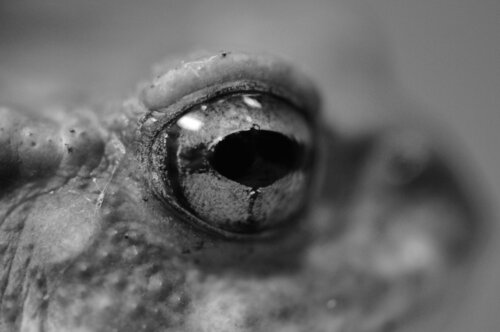 © CURV 723 di Richard Martin, Fotografia in vendita su Singulart