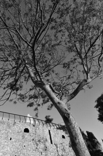 © CURV 0747 by Richard Martin, Photography for Sale on Singulart