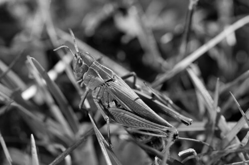 © CURV 0821 par Richard Martin, Photographie en vente sur Singulart