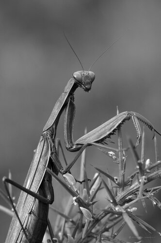 © CURV 019 di Richard Martin, Fotografia in vendita su Singulart