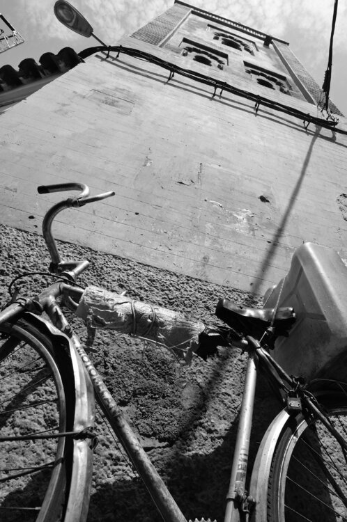 © CURV 065 Richard Martin