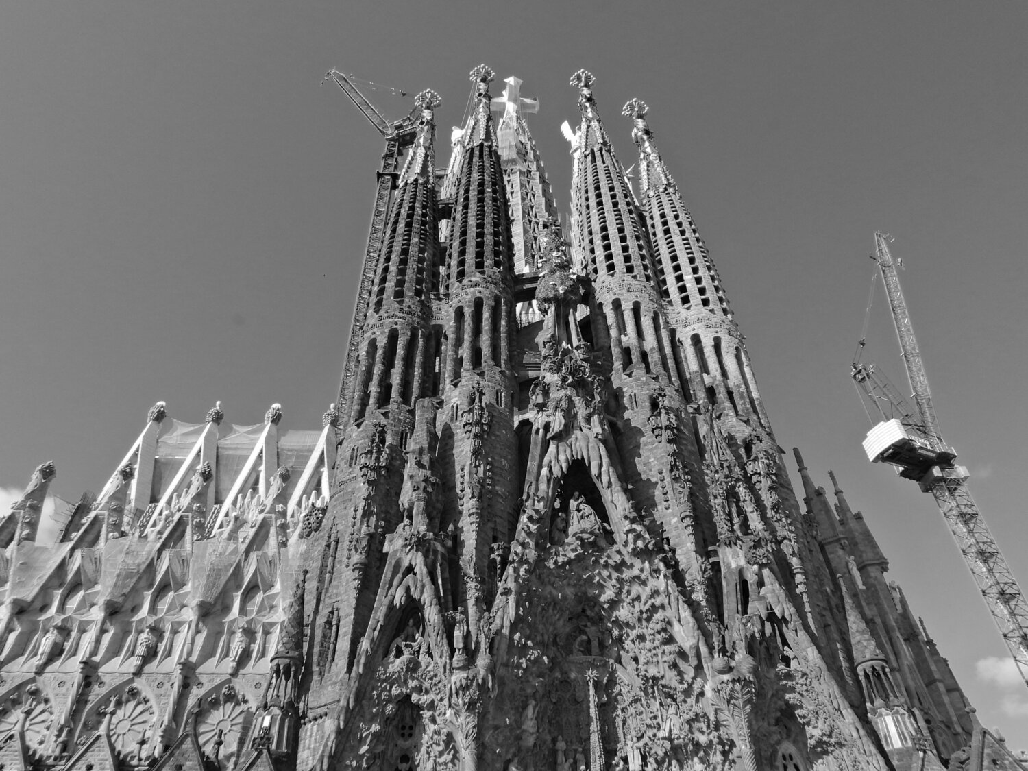 © CURV 07197 Richard Martin Photography for sale