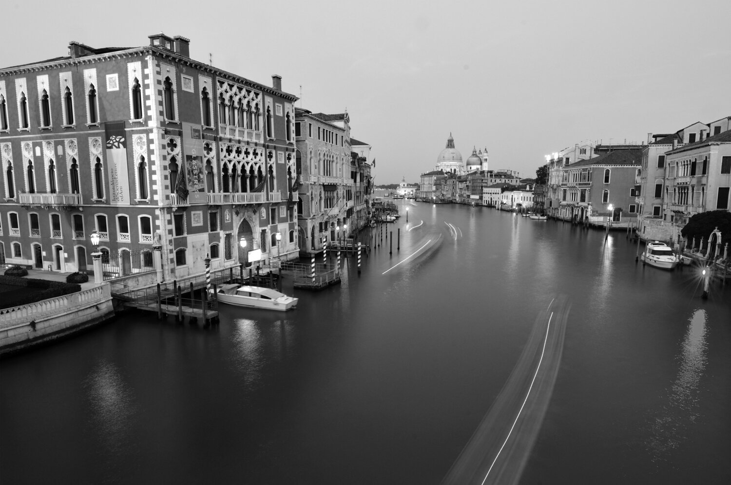 © CUR 005 - Venice Richard Martin