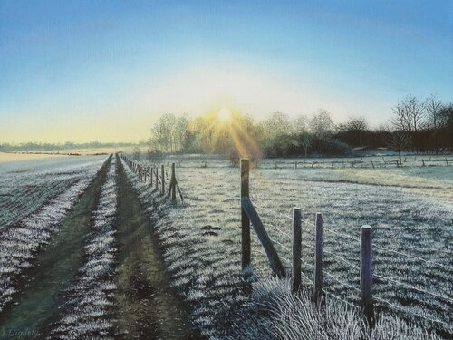 Morgenfrost bei Sonnenaufgang Leo Windeln