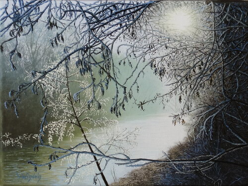 Wintersonne am Morgen van Leo Windeln, Schilderij te koop op Singulart