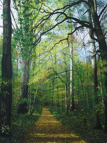 Herbstwald van Leo Windeln, Schilderij te koop op Singulart