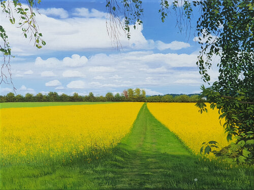 Rapsfeld im Frühling par Leo Windeln, Peinture en vente sur Singulart