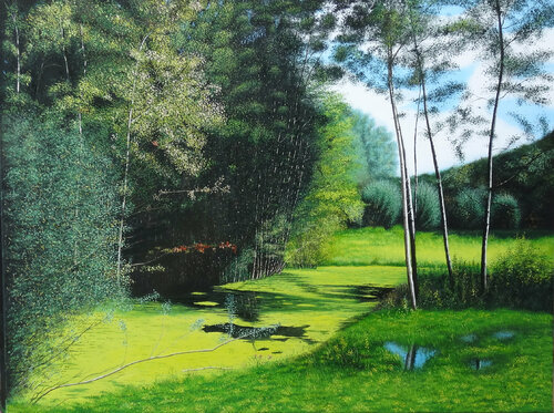 Naturschutzgebiet van Leo Windeln, Schilderij te koop op Singulart