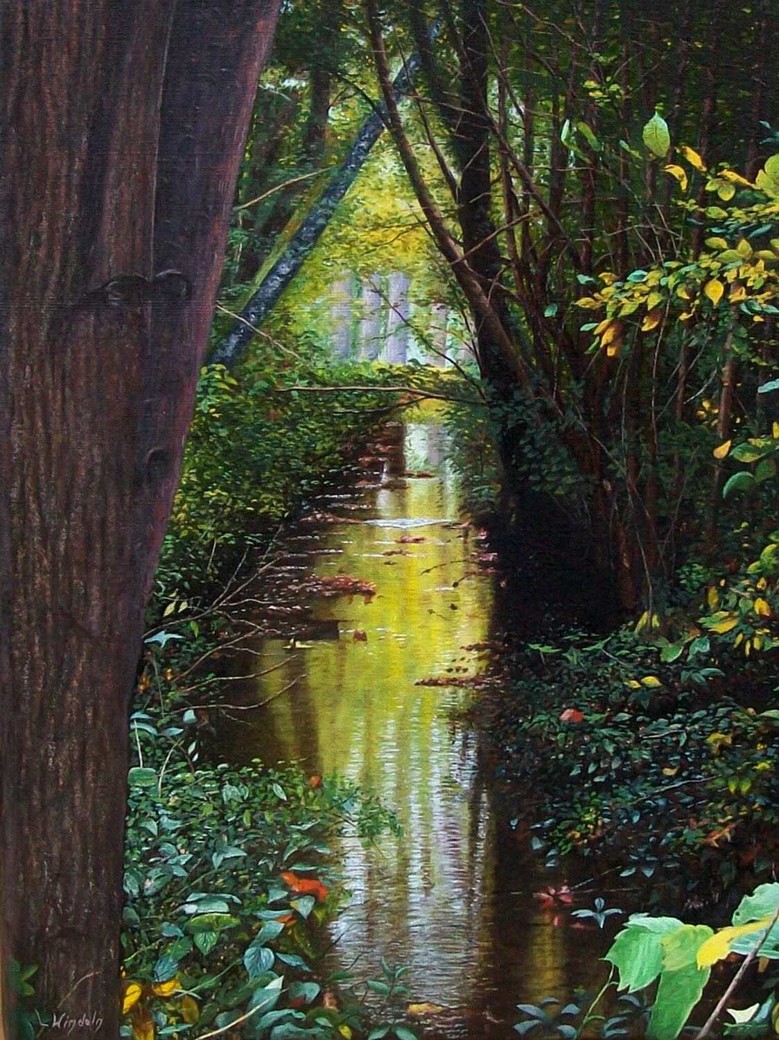 Bachlauf Leo Windeln