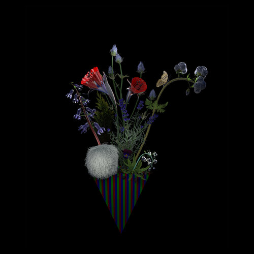 The Bare Necessity of Glamor by Jessye McDowell, Digital for Sale on Singulart