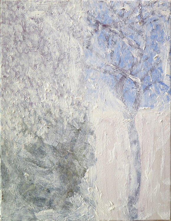 Tapia nevando Jesús Manuel Moreno