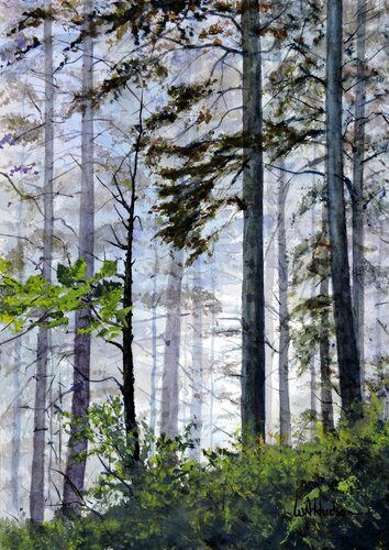 A Walk in the Woods by Bill Hudson, Work on Paper for Sale on Singulart