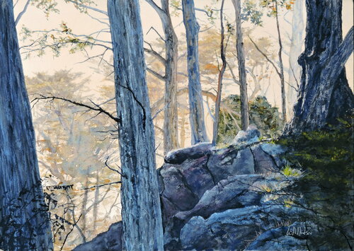 Point Lobos Morning von Bill Hudson, Werk auf Papier kaufen auf Singulart