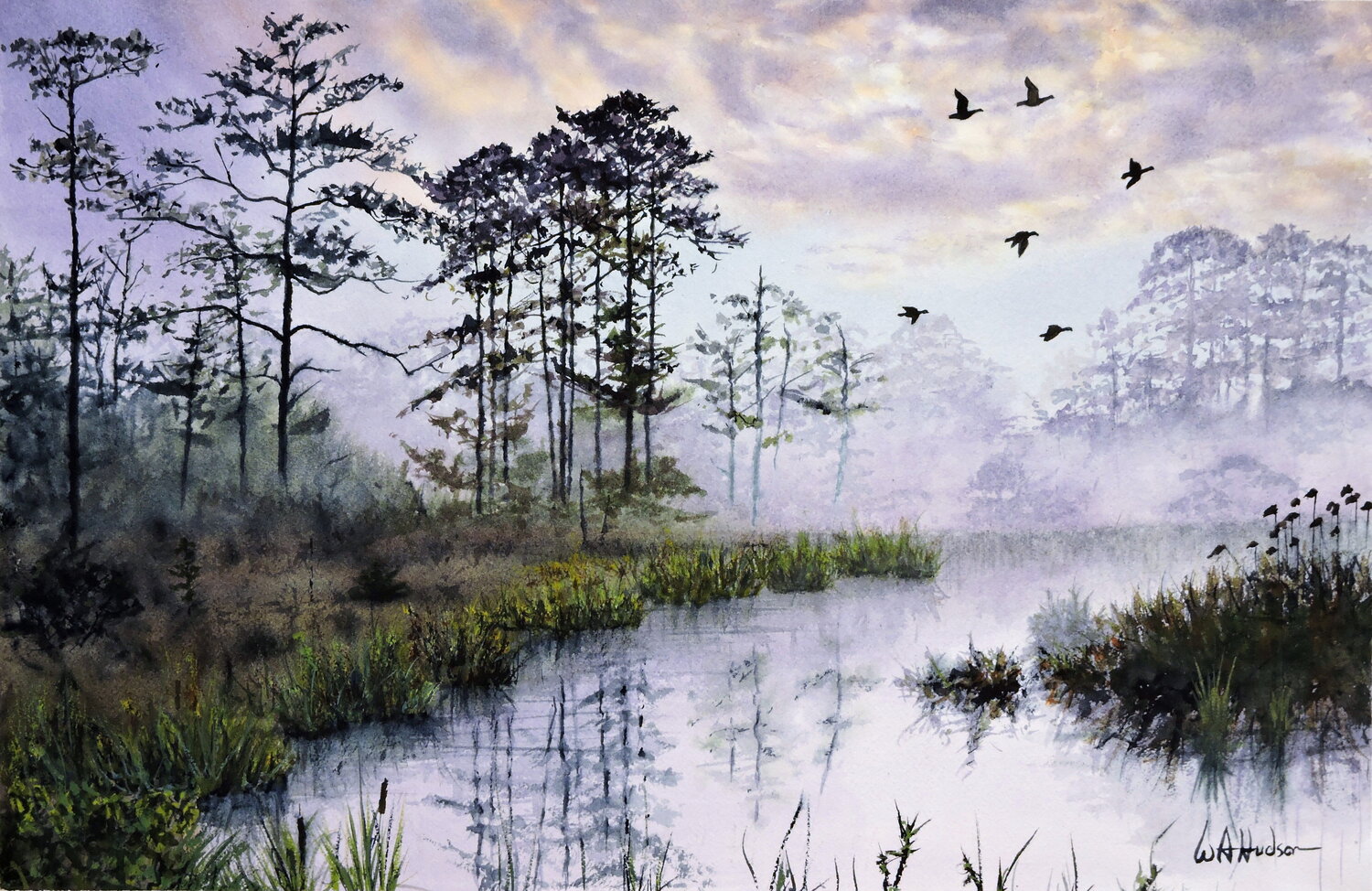 Assateague Bill Hudson