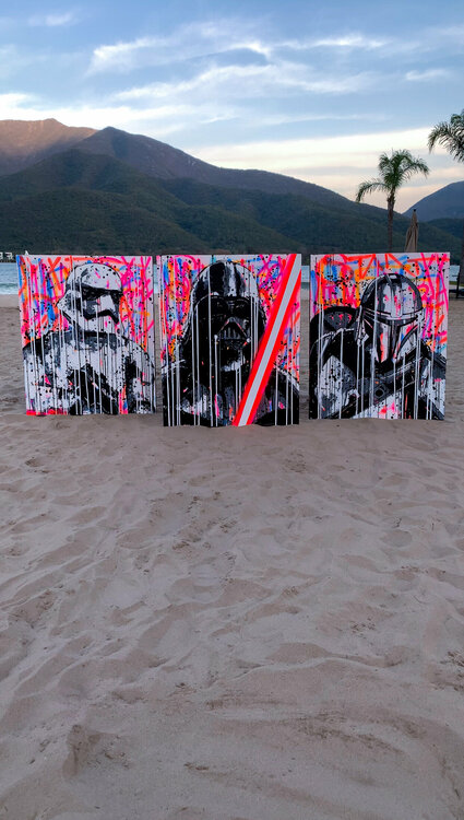 Fight (Stormtrooper) Esteban Vera