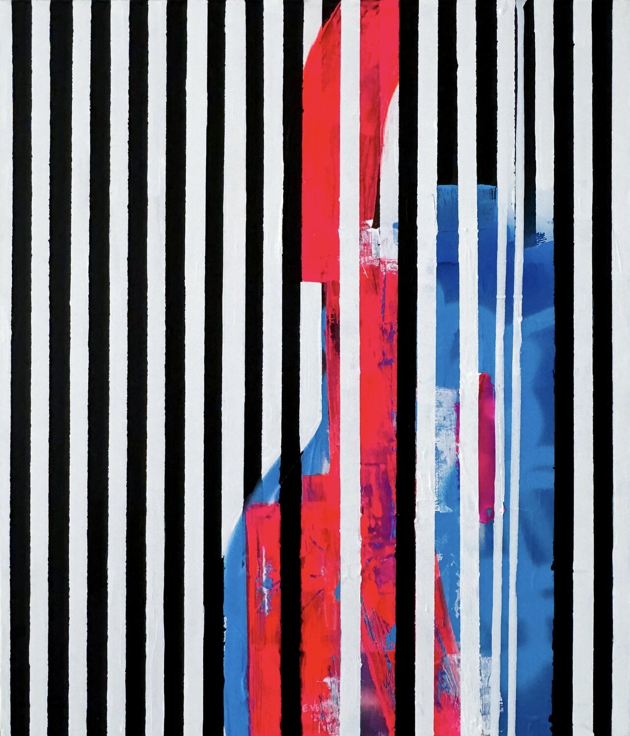 Vision Esteban Vera