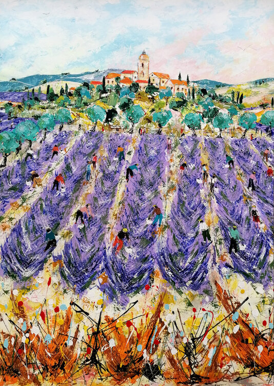 Champs de lavande. Jean-Pierre Borderie
