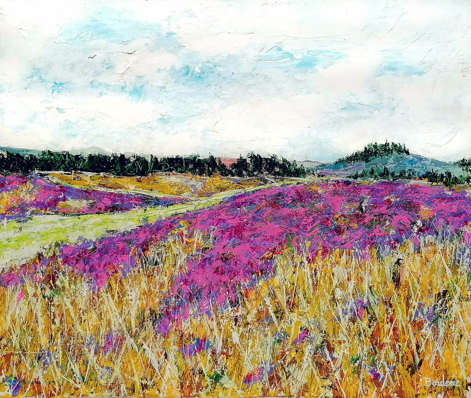 Les bruyères du plateau. Jean-Pierre Borderie