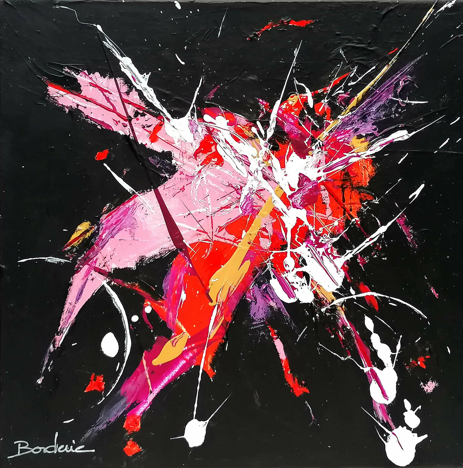 Le monde des insectes. Jean-Pierre Borderie