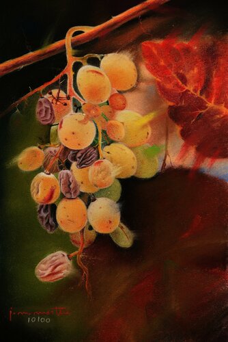 Vino y uvas: 10100 by José Maria Martin, Work on Paper for Sale on Singulart