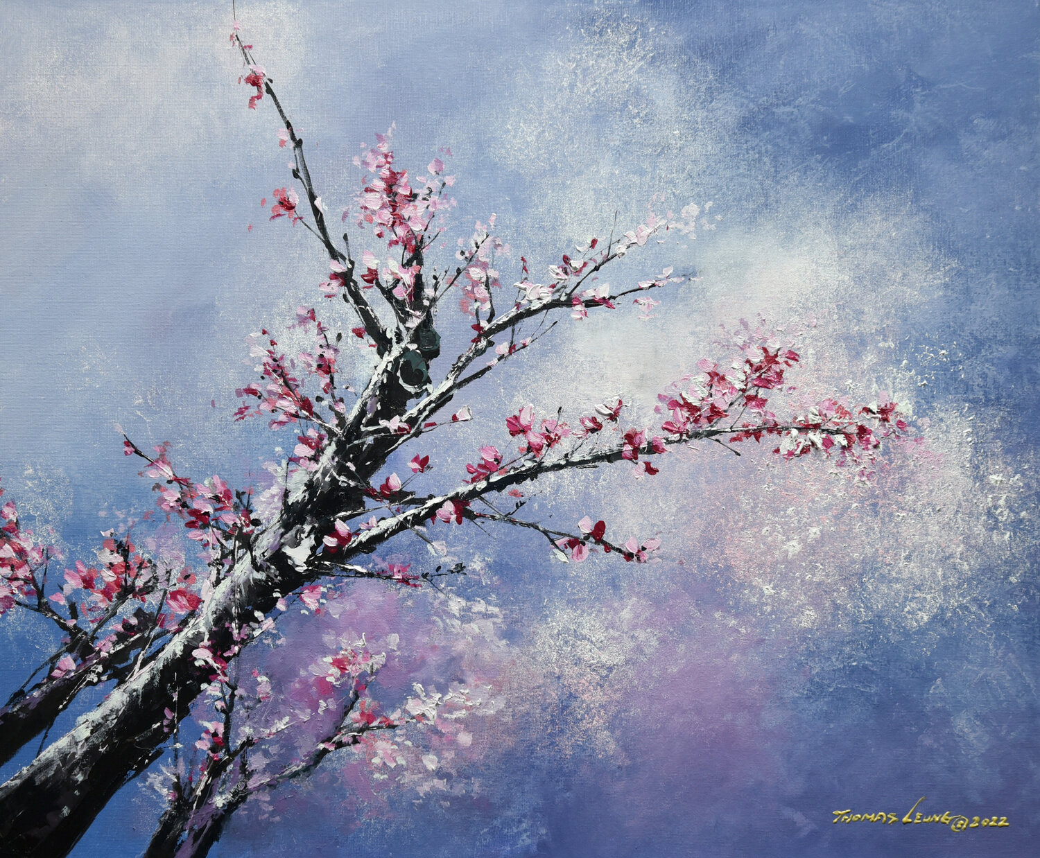 Blossom Season Thomas Leung