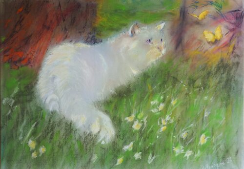 Le fusa sul  verde Davide Rodoquino