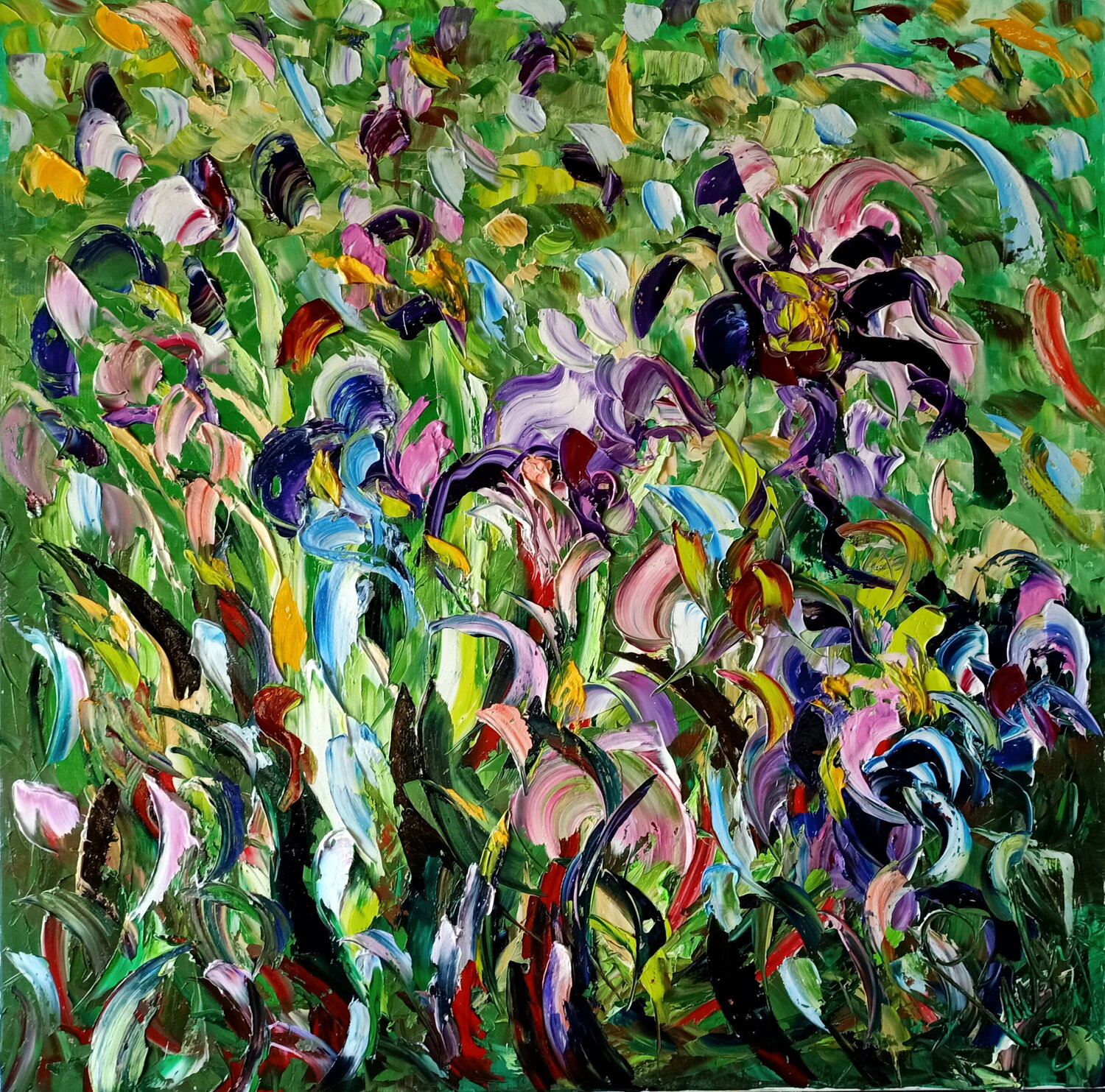 Camo con iris Antonino Puliafico
