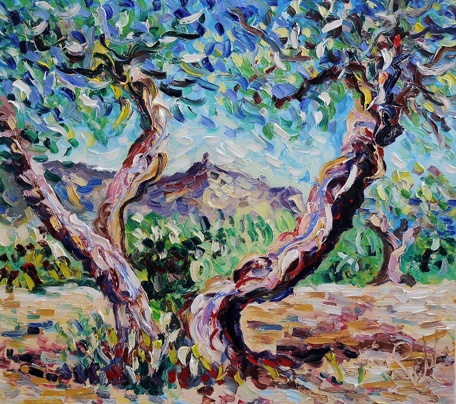 La coppia di ulivi Antonino Puliafico