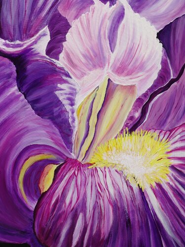 Bearded Iris di Ans Duin, Pittura in vendita su Singulart