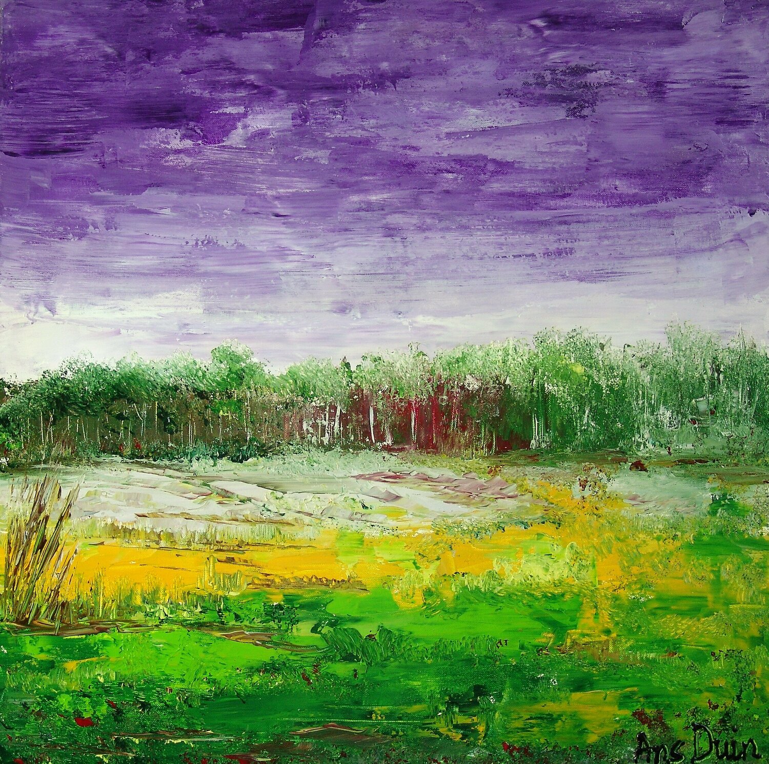Landscape purple sky Ans Duin Origineel schilderij te koop