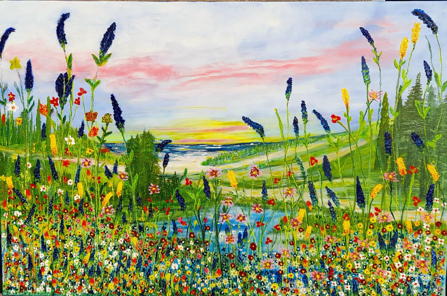 Wild flowers in the  dunes Ans Duin