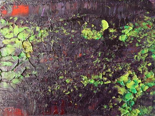 Nymphaea II [Abstract N°2728] Koen Lybaert