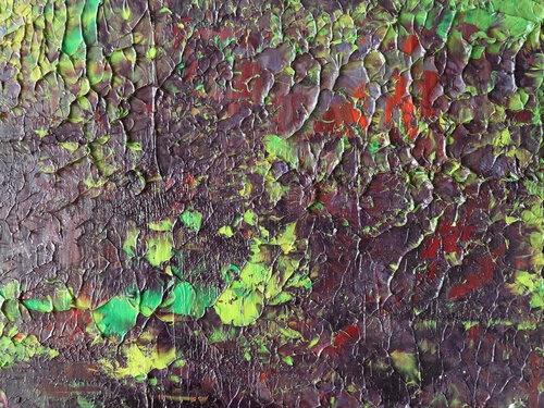 Nymphaea III [Abstract N°2729] Koen Lybaert