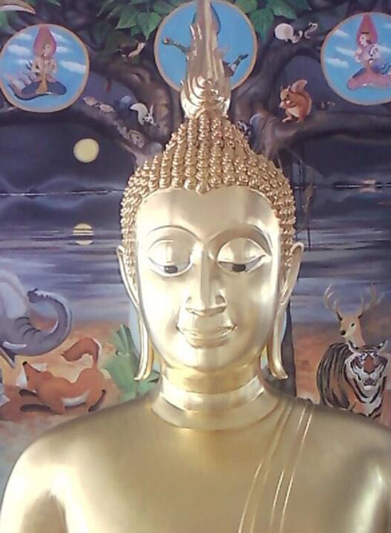 The Enlightenment of Gautama Buddha Yothin Kanokbanpot