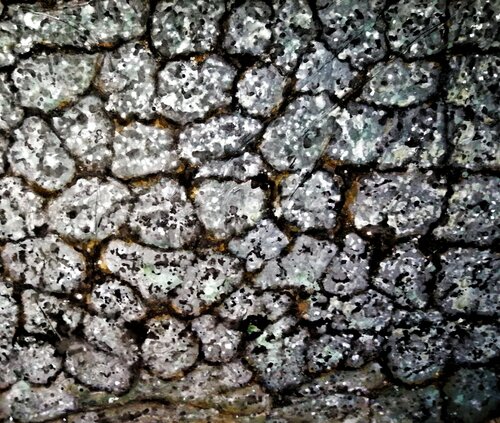 MURO DE PIEDRAS. O SI LAS PIEDRAS HABLASEN DE TI par JOAN PARRAMON, Peinture en vente sur Singulart