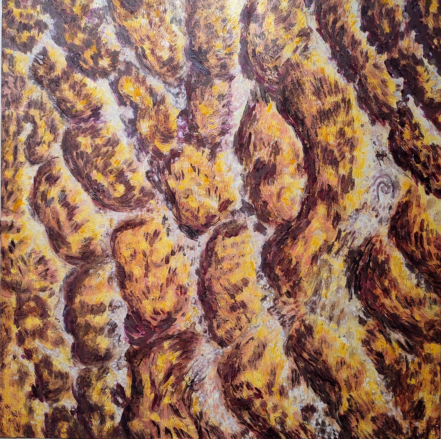 Boutilimit. Mauritania JOAN PARRAMON