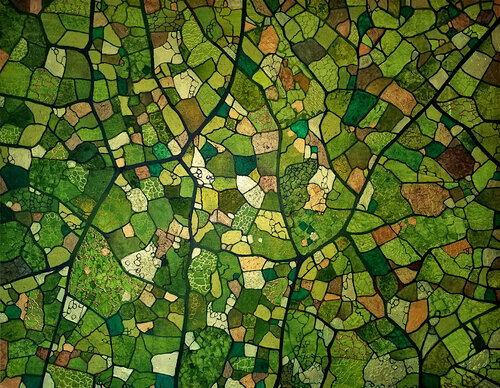 Lignes de vie di Sophie Cantou, Pittura in vendita su Singulart