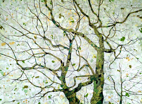 Élévations Sophie Cantou