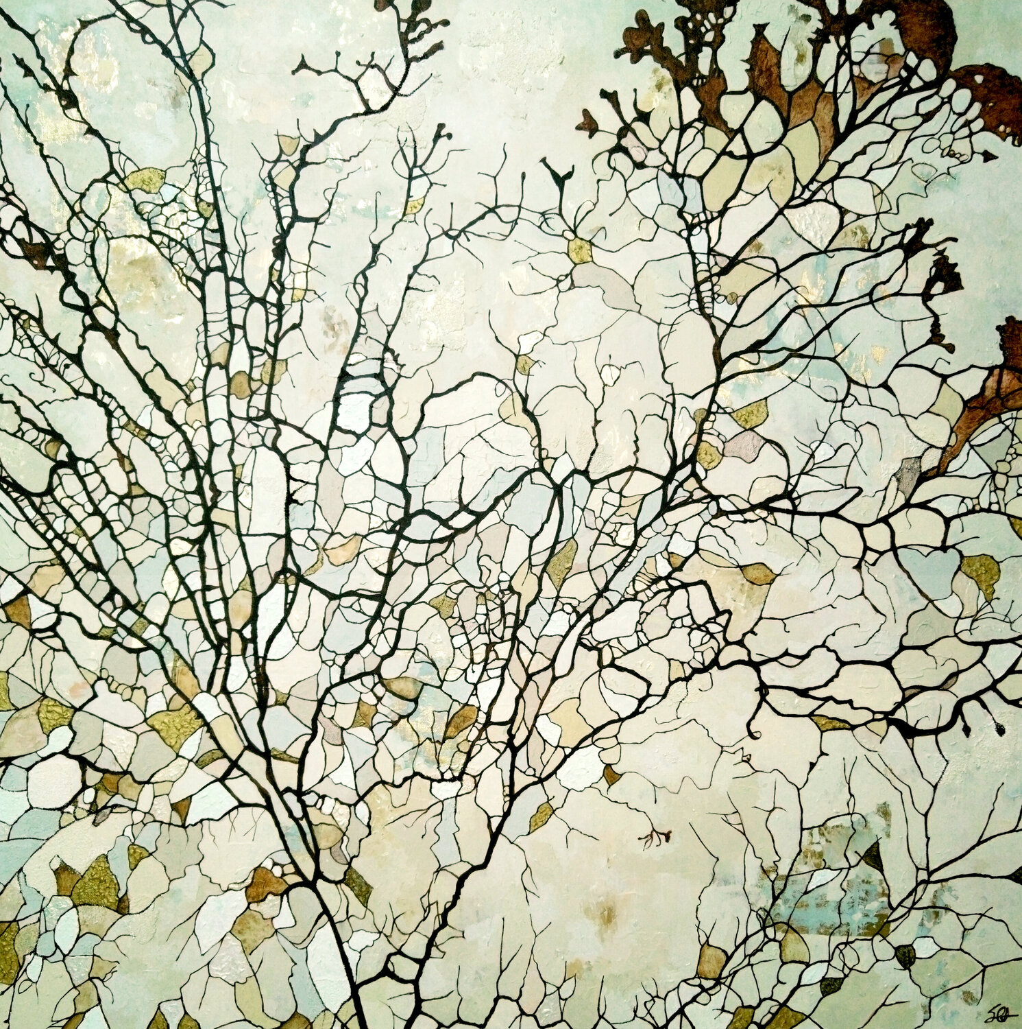 Lichen Sophie Cantou