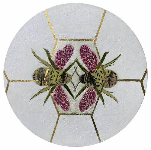 Insects C Karenina Fabrizzi