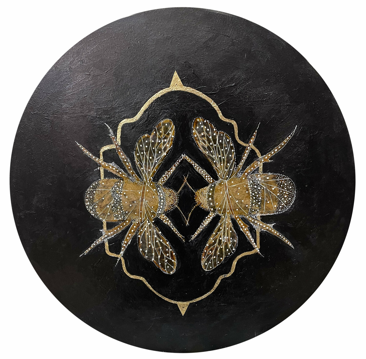 Insects A Karenina Fabrizzi