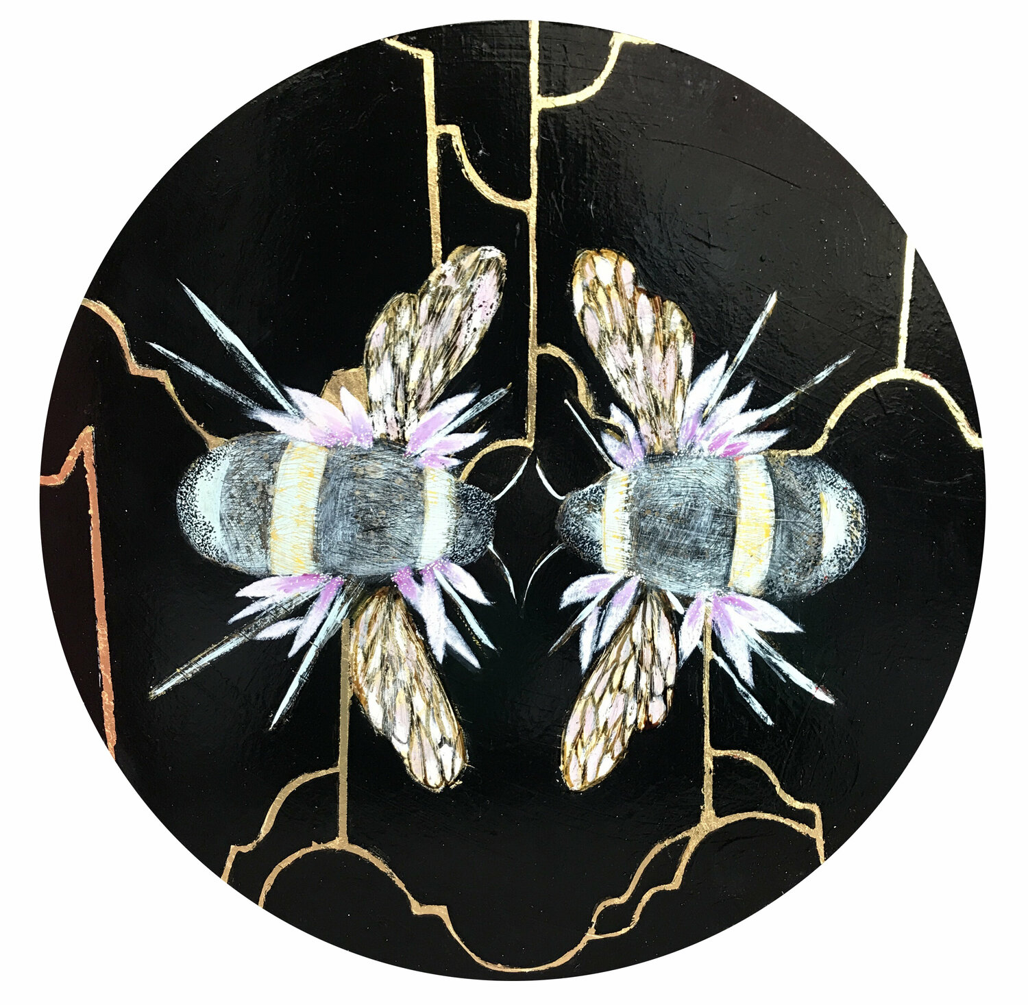 Insects 05 Karenina Fabrizzi