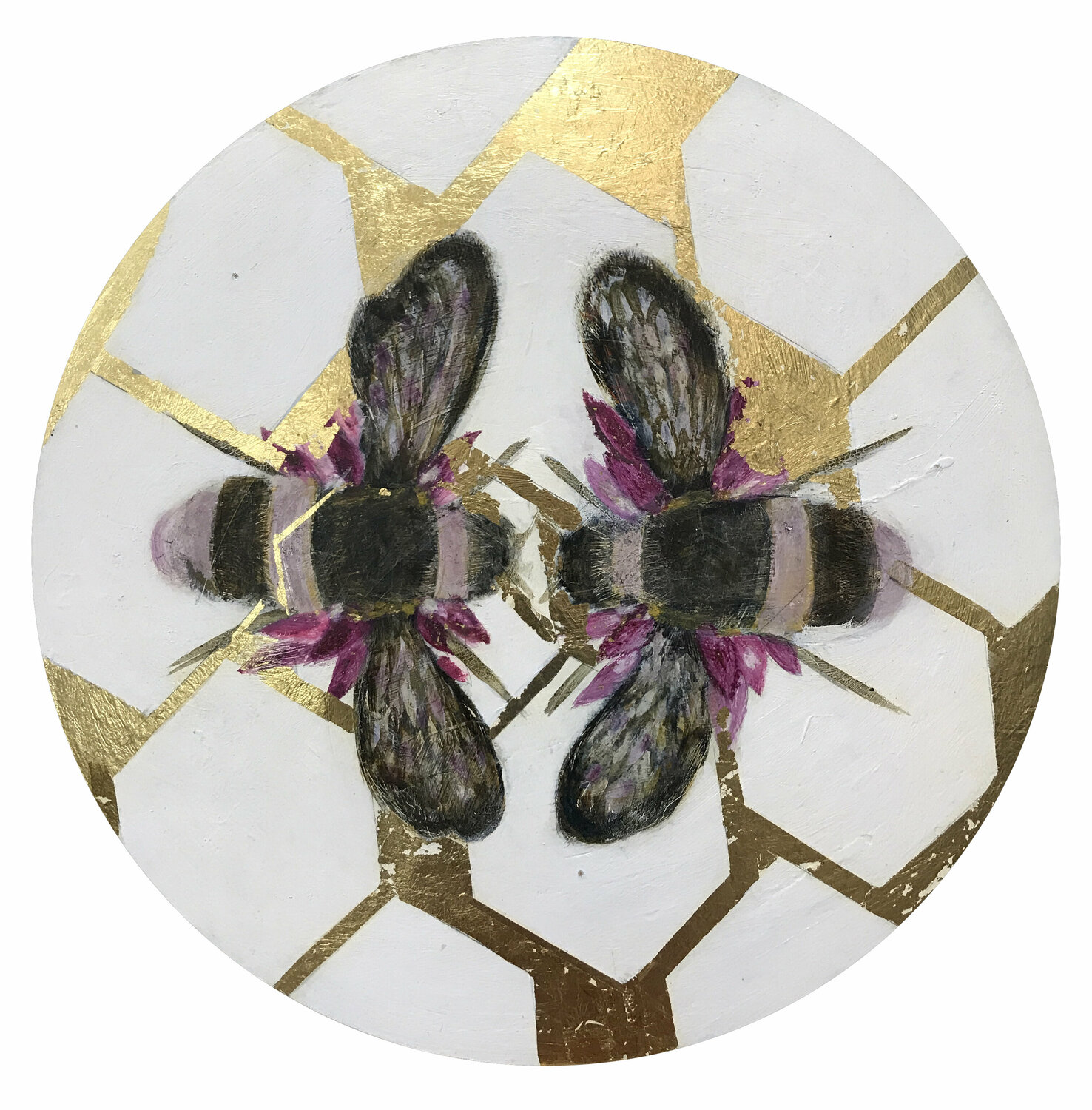Insects 06 Karenina Fabrizzi