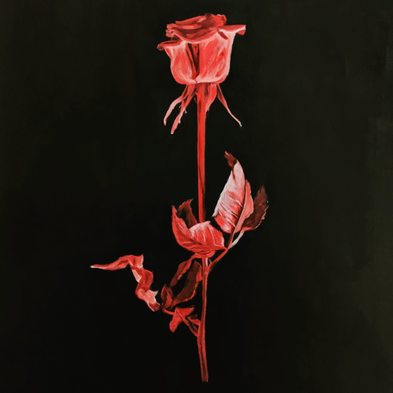 Violator Ezequiel Martinez Llaser