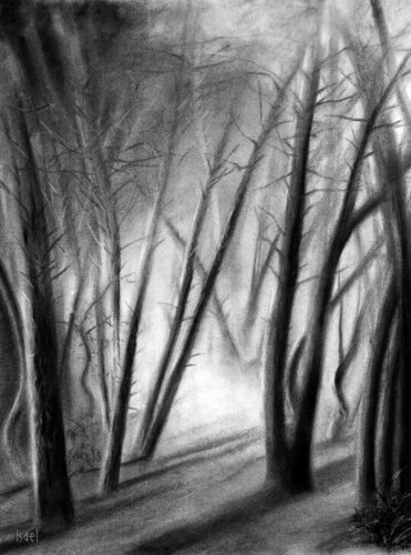 Sous-bois 2. von Isael, Zeichnungen kaufen auf Singulart