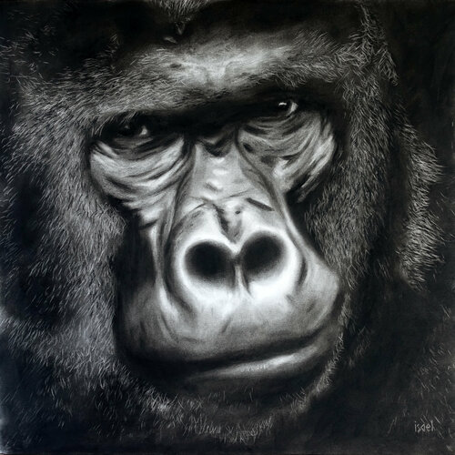 Max van Isael, Tekening te koop op Singulart