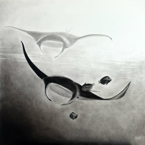 Dans le fond... par Isael, Dessin en vente sur Singulart