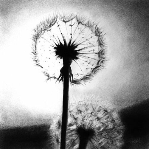 Une éphémère beauté... by Isael, Drawing for Sale on Singulart