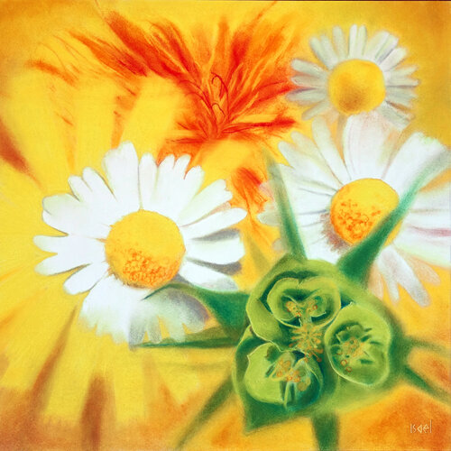 Jaune printemps Isael